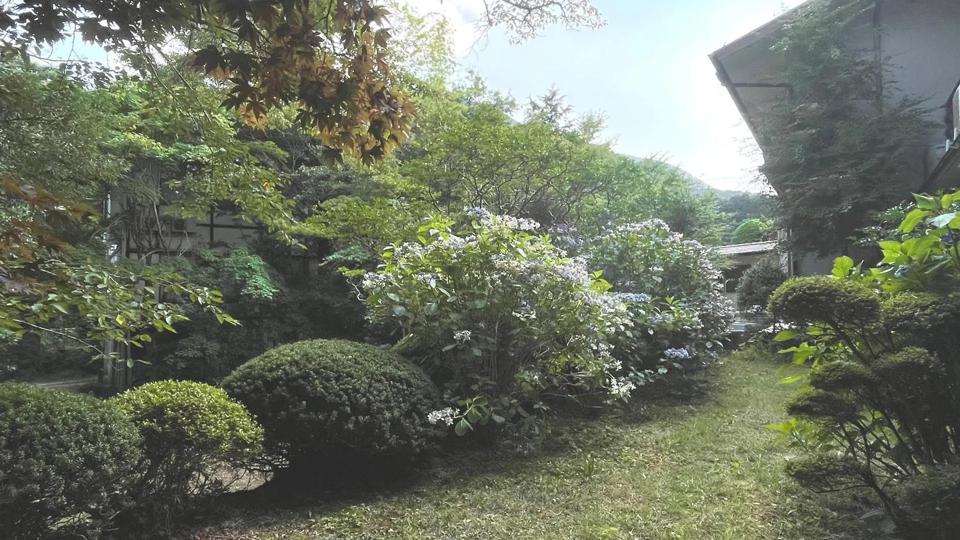 Ryokan Hotel Mitake Hakone